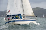 halley 2932c whyw25 fri 800_7515